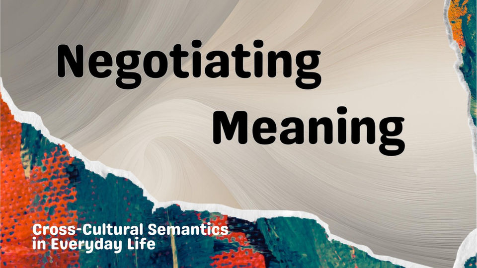 Negotiating Meaning - Video 6